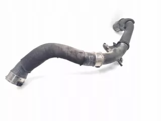 Z12003646 A2820980007 Гофра инжектора Mercedes A W177 Арт e11844352, вид 3