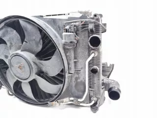 0130307134 Вентилятор радиатора Mercedes E C207 Арт e11834833, вид 2