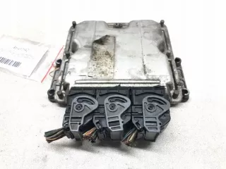 0281010189 LORK-486-15762 Блок управления двигателем Renault Scenic 1 Арт e11803680, вид 1