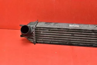 H9467002 Интеркулер Renault Laguna 3 Арт e11787509, вид 2