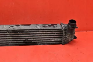 H9467002 Интеркулер Renault Laguna 3 Арт e11787509, вид 3
