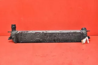 H9467002 Интеркулер Renault Laguna 3 Арт e11787509, вид 4