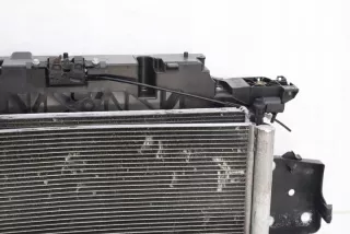 2009R- TBS10679 Передняя панель крепления облицовки (телевизор) Renault Scenic 3 Арт e11767400, вид 3