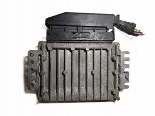 S110130020 8200092142 8200044437 Блок управления двигателем Renault Megane 1 Арт e11702743, вид 2