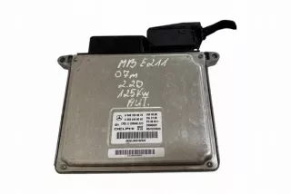 A6461509878 Блок управления двигателем Mercedes E W211 Арт e11700592, вид 1