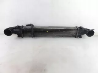 2115001102 Интеркулер Mercedes E W211 Арт e11660886, вид 1