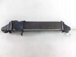 2115001102 Интеркулер Mercedes E W211 Арт e11660886, вид 3