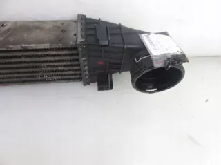 2115001102 Интеркулер Mercedes E W211 Арт e11660886, вид 4