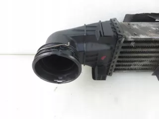 2115001102 Интеркулер Mercedes E W211 Арт e11660886, вид 5