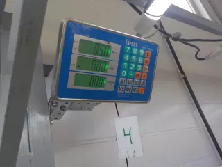 BP4L55210G Пепельница Mazda 3 BK Арт 769924, вид 7