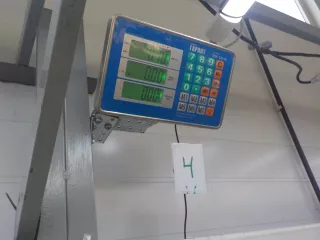 BS3E66CS0 Механизм подрулевой SRS Mazda 3 BK Арт 769718, вид 6