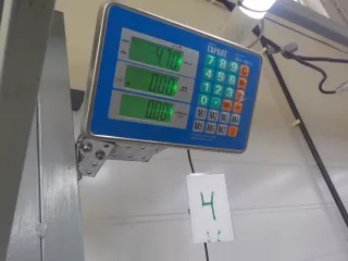 B32H34350E Рычаг передний левый Mazda 3 BK Арт 770005, вид 3