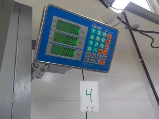 BN8W57KN0 Подушка безопасности боковая (шторка) левая Mazda 3 BK Арт 769985, вид 5