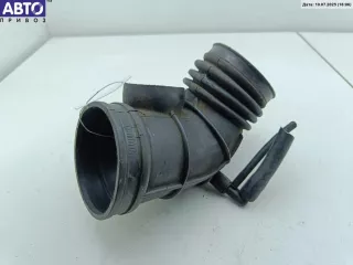 1435625 Гофра инжектора BMW 5 E39 Арт 54829147, вид 2