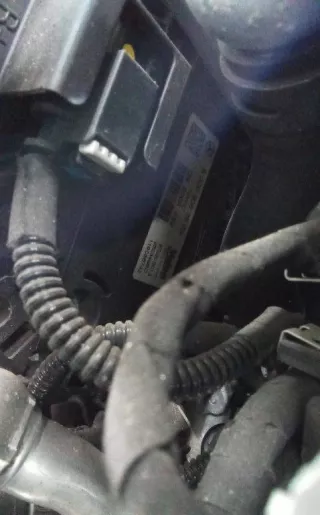 A0009063903 Генератор Mercedes A W177 Арт 2_75281, вид 4