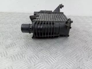 876893NF,8200170504 Интеркулер Renault Modus Арт 2_43387, вид 3