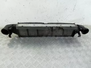 A2035000600 Интеркулер Mercedes C W203 Арт 2_32078