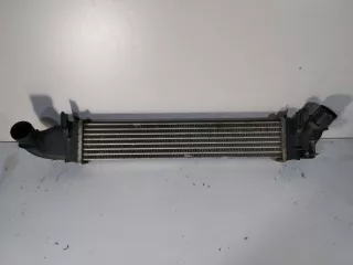 8200424155 Интеркулер Renault Logan 1 Арт 2_2948, вид 3