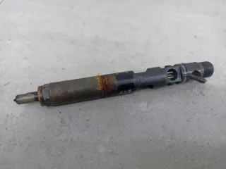 166000897,H8200827965 Форсунка Renault Duster 1 Арт 17-6-184