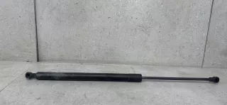904500004R Амортизатор крышки багажника (3-5 двери) Renault Scenic 3 Арт 169-19, вид 1