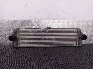 A9065010201,2E0145804A Интеркулер Mercedes Sprinter W906 Арт 30-27, вид 4