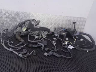 8212148601 Проводка двигателя Lexus RX 4 Арт 17-98-3