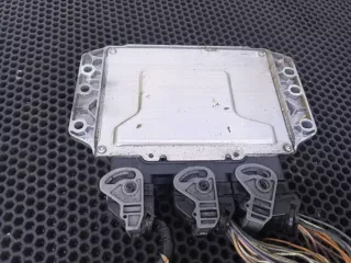 8200321263,8200387138 Блок управления двигателем Renault Megane 2 Арт 37-65, вид 4