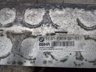 17517809321 Интеркулер BMW X6 E71/E72 Арт 3_2248, вид 4