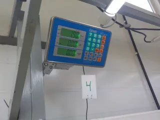 ZJ2010220 Крышка клапанная Mazda 3 BK Арт 770039, вид 6