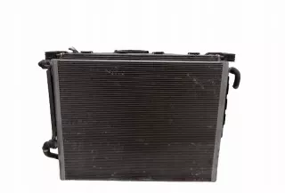 BMW,G11,8619616 Радиатор основной BMW 7 G11/G12 Арт AL12543333656, вид 1