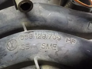 036129709HF Коллектор впускной Volkswagen Polo 4 Арт AM52455664, вид 5