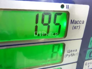 1698694 Насос масляный Ford Galaxy 2 Арт AM48380690, вид 4