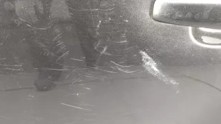 8K9833051D Дверь задняя левая серая Audi A4 B8 Арт 20303914, вид 3