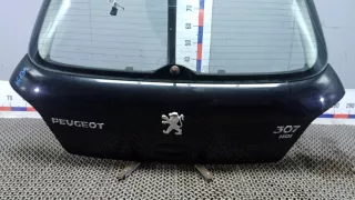  Дверь 3-5 Peugeot 307 Арт 6EP34GF01, вид 3