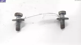 34216772885 Болт крепления BMW 5 E39 Арт 54968127, вид 2