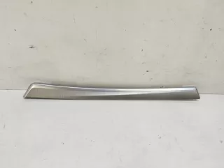 51419171781 Накладка двери BMW 5 F10/F11/GT F07 Арт VZ222320