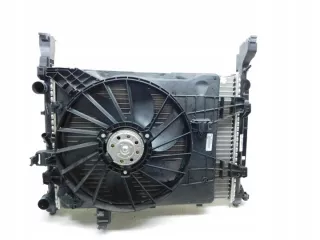 8200418328 921206476R 8200455795 Радиатор (основной) Renault Kangoo 2 Арт e7007357, вид 2