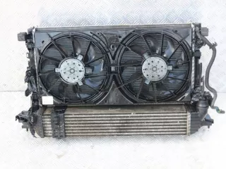 921100002R 21410005R 214000035R Радиатор (основной) Renault Laguna 3 Арт e9644684, вид 2