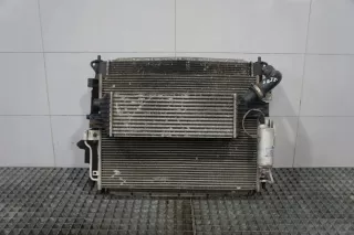 A54923-110 A54923110 Радиатор (основной) SsangYong Rodius 2 Арт e9731558, вид 1