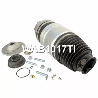 WAB1017AA,WAB1017BN,WAB1017GA,WAB1017TI,WAB1017TX,95834305200,95834305202,95834305210,95834305212,95834305213,95834305220,95834305230,7P6616040H,7P6616040K,7P6616040L,7P6616040M,7P6616040N,7P6616040R,7P6616404G,7P6616404H,7P6616404J Пневмоподушка Porsche Cayenne 958 Арт А2222834641-5