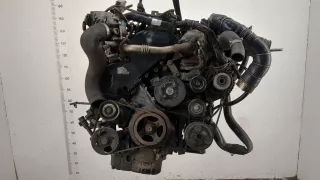 92600EB70A,YD25DDTI Двигатель Nissan Navara D40 Арт 20416889, вид 1