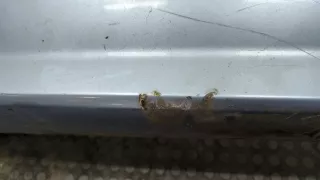 Крюк буксировочный Ford C-max 1 2007г.  - Фото 2