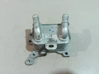 213055917R Радиатор масляный Renault Arkana Арт AM23583086, вид 1