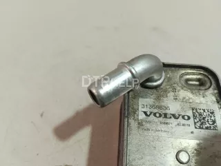 31368636 Радиатор масляный Volvo V60 1 Арт AM23669106, вид 9