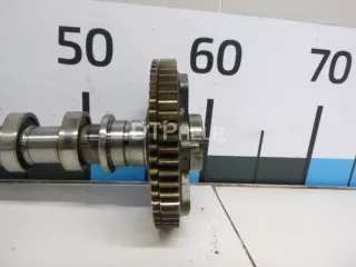 6710500601 Распредвал выпускной SsangYong Actyon 1 Арт AM103068300, вид 2