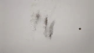 13270748,13350059,13312996,13385745 Капот белый Opel Astra J Арт 20376687, вид 2