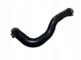 13483001 Гофра инжектора Opel Corsa E Арт e5098041