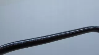 8W1121081BC Гофра инжектора Audi A4 B9 Арт e7399190, вид 4