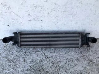 A2465000900 Интеркулер Mercedes A W176 Арт e10650358, вид 4