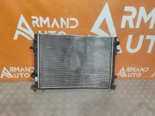 2069033100, 6600001982, 1 Радиатор двигателя (ДВС) Geely Coolray Арт 310090PM, вид 1